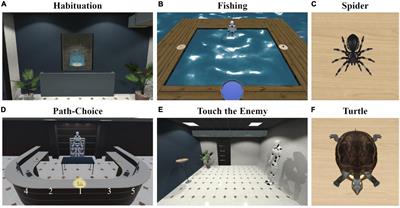 Facing Your Fear in Immersive Virtual Reality: Avoidance Behavior in Specific Phobia